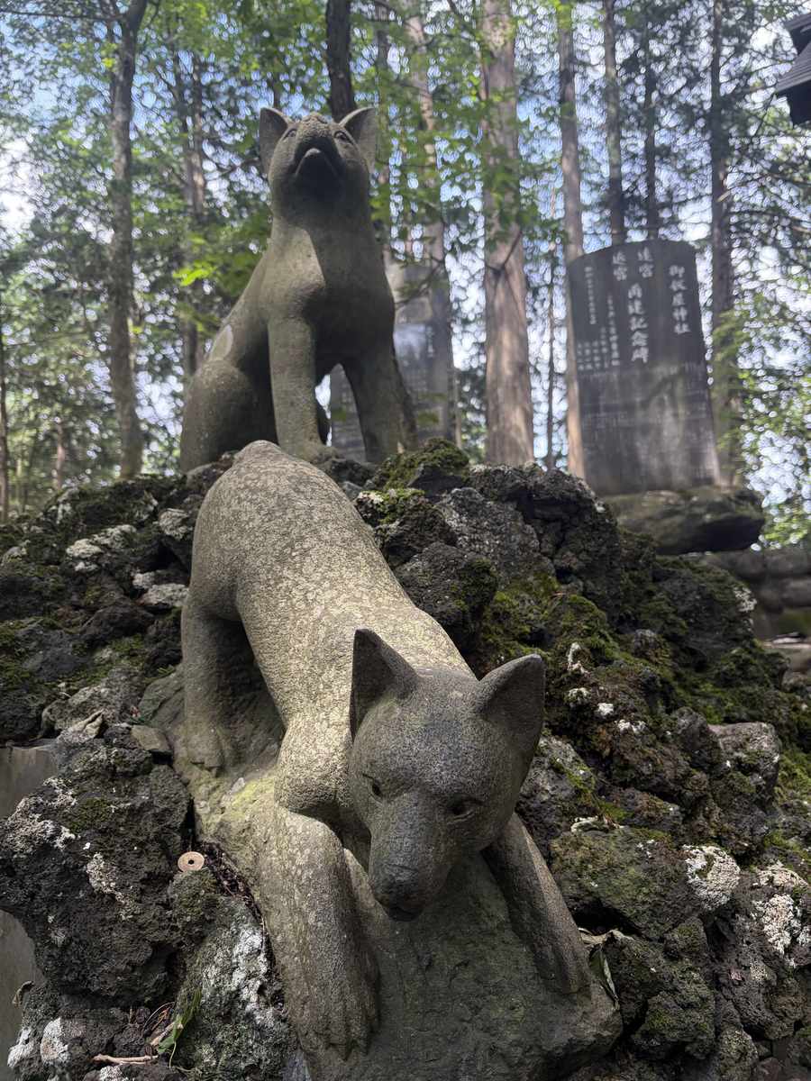 御仮屋神社のオオカミの石像