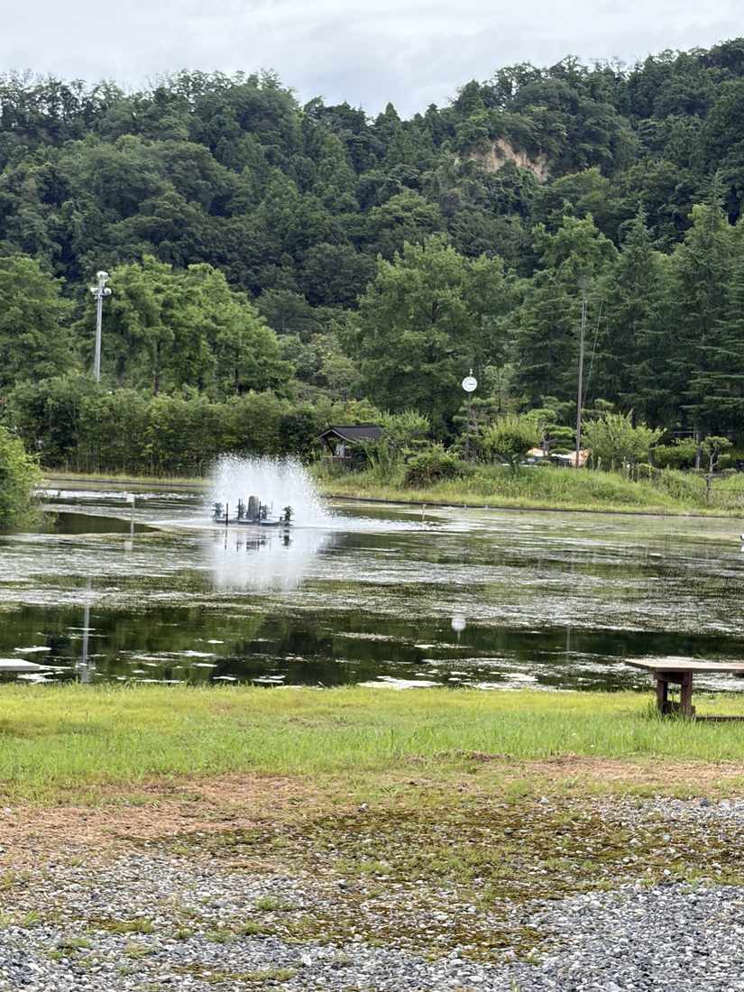 池の噴水と、その向こうに広がる緑の山