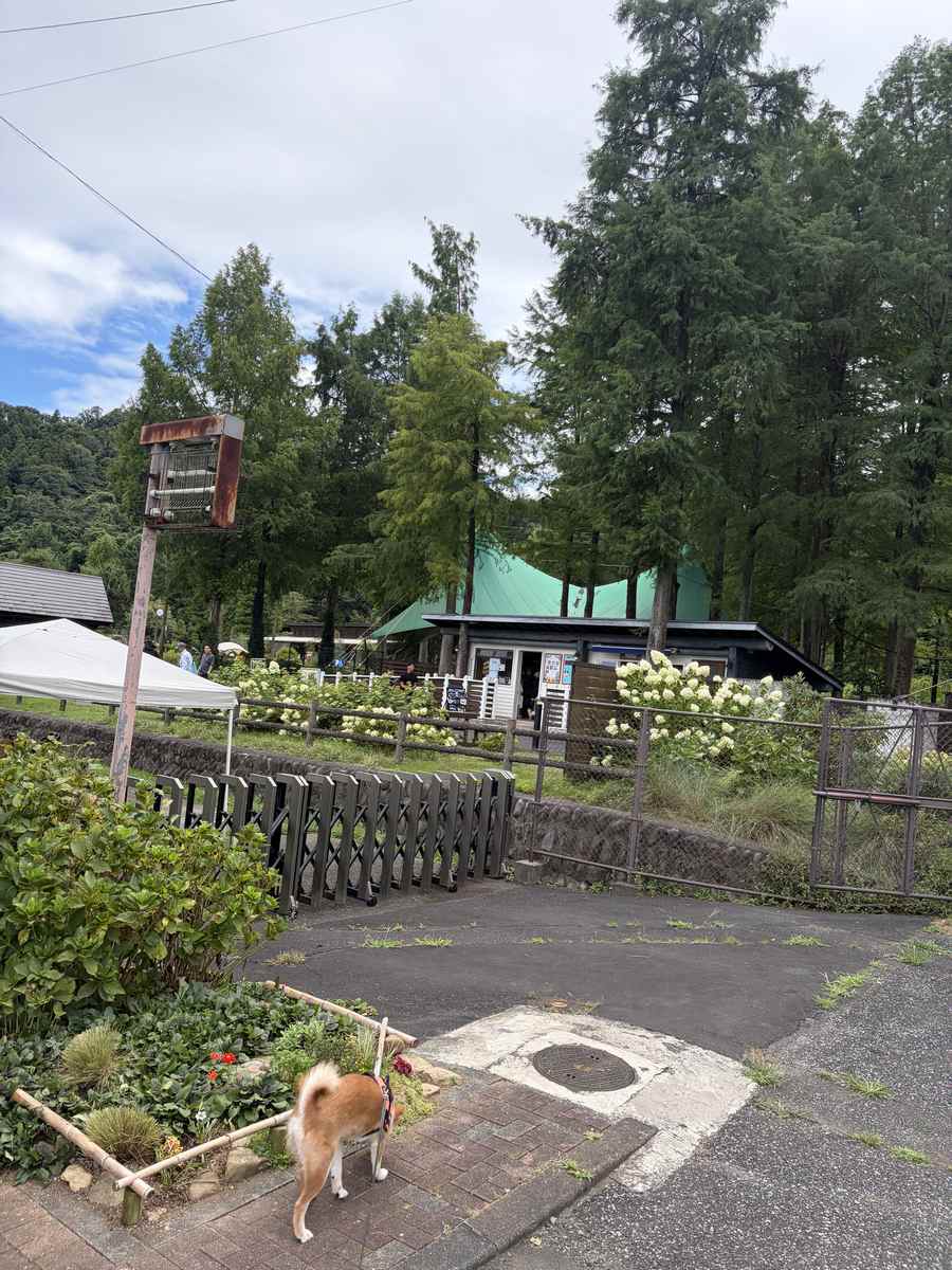 わんダフルネイチャーヴィレッジの園内の小道と植栽
