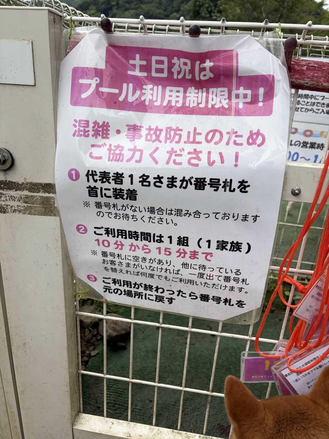 土日祝はプール利用制限中と書かれた貼り紙。番号札を装着し1組10分から15分までのルール