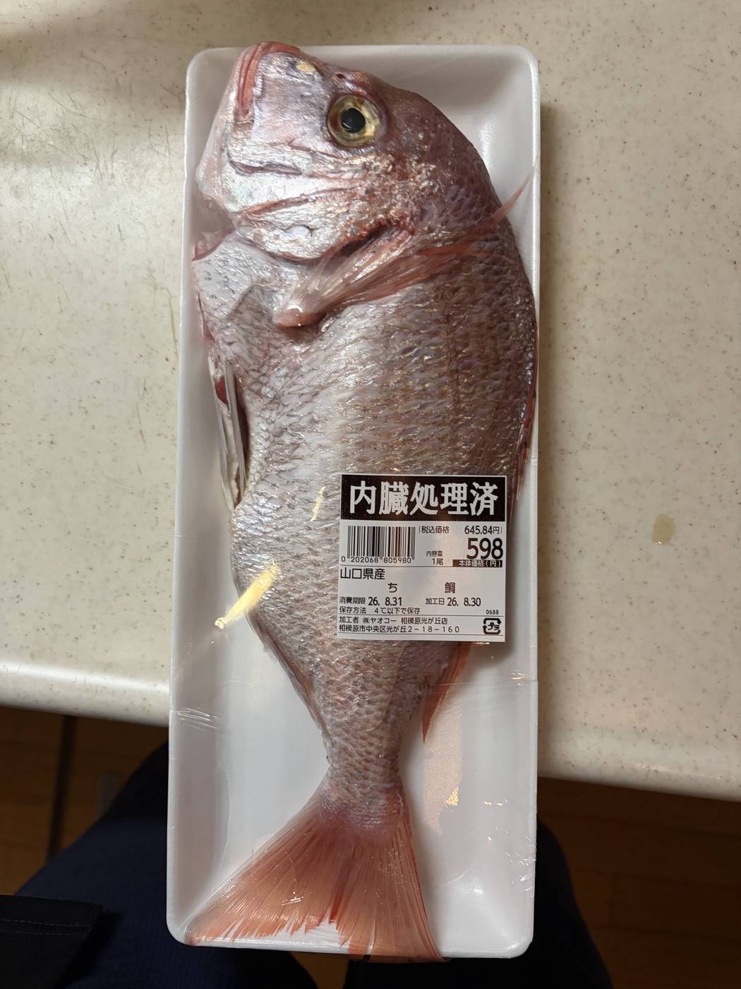 スーパーで買った30cmほどの鯛が発泡トレイにのっている