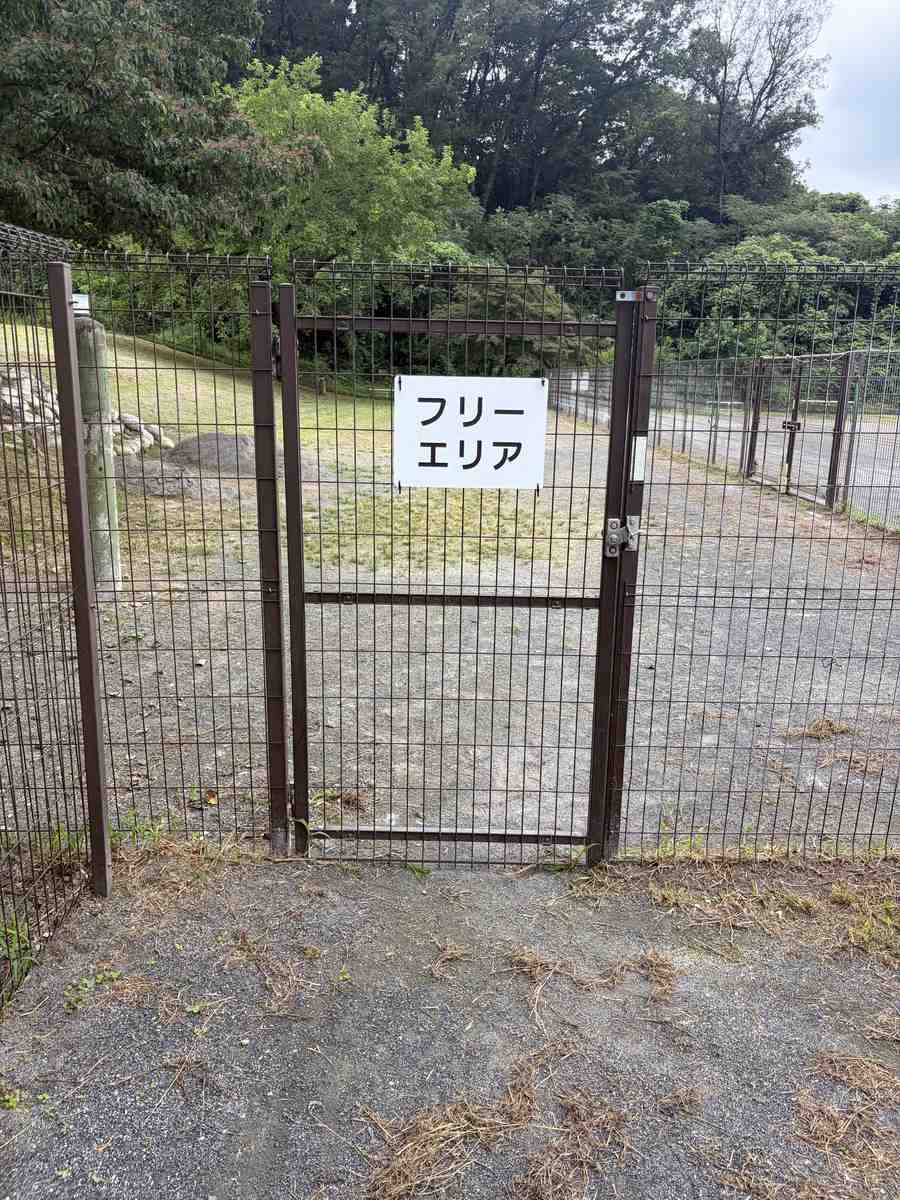 フリーエリアと書かれた札のかかったゲート