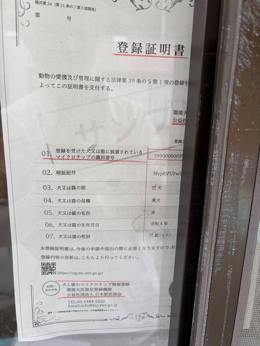 事務所の窓に貼られたマイクロチップ登録証明書の見本。環境大臣指定登録機関発行の様式