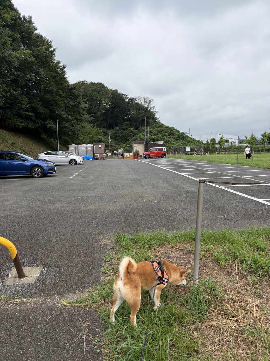 七国公園ドッグランの無料駐車場。舗装された駐車場に数台の車が停まり、奥に管理棟が見える