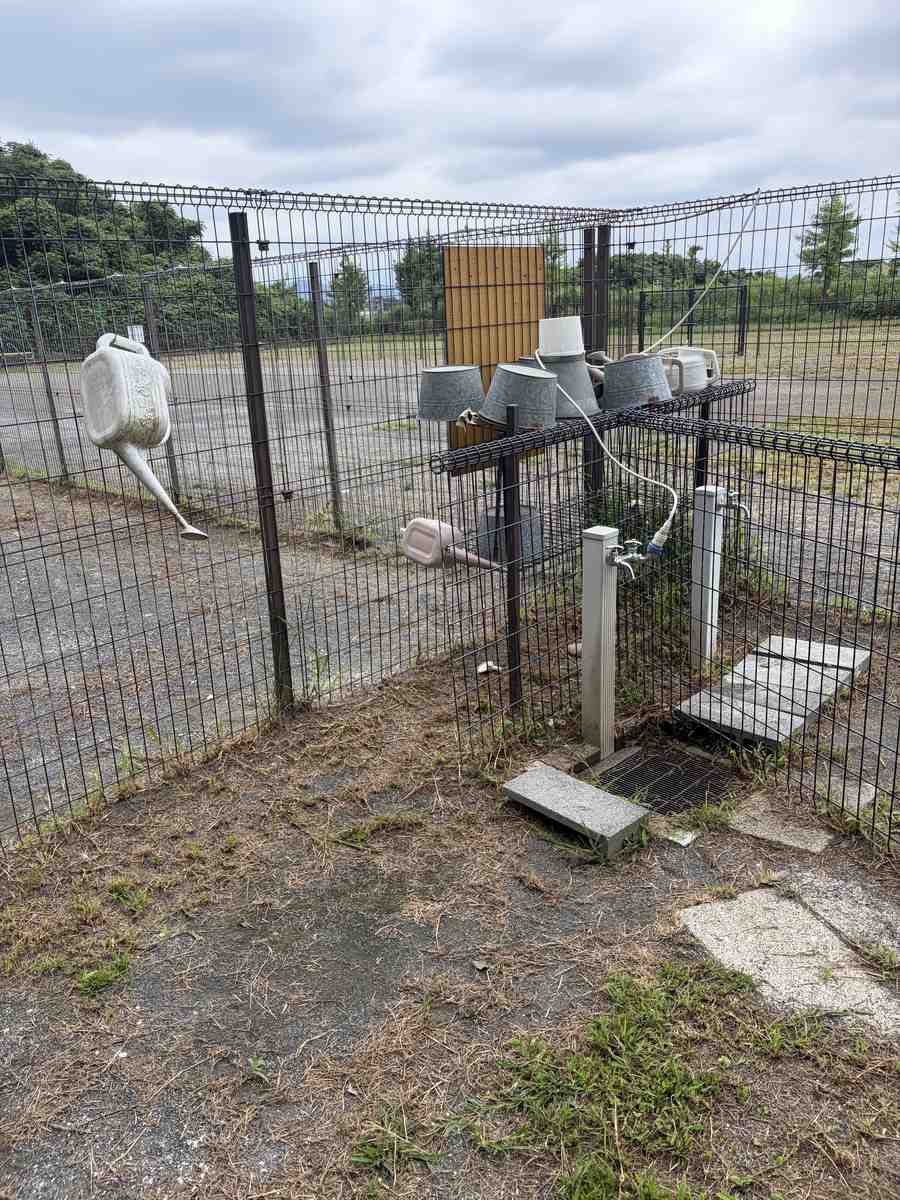 ドッグランの水飲み場。水道の蛇口とバケツ、じょうろがフェンス際に並んでいる