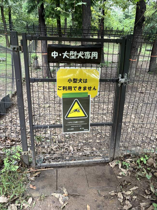 中・大型犬専用と書かれたゲート。小型犬はご利用できませんの黄色い札とハチ注意の看板が付いている