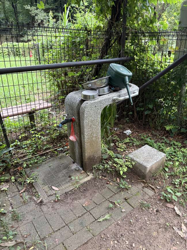 ドッグラン内の石でできた水飲み場。蛇口と受け皿があり、横にベンチが置かれている